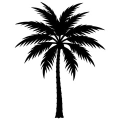 Obraz premium a black silhouette of a palm tree with long leaves, perfect for tropical themes