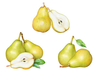 Realistic watercolor illustrations of yellow pears with leaves