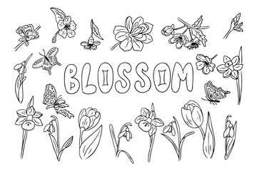 Black and white floral coloring page featuring various spring flowers, butterflies, and the word Blossom, perfect for creative relaxation, botanical illustration, and seasonal design