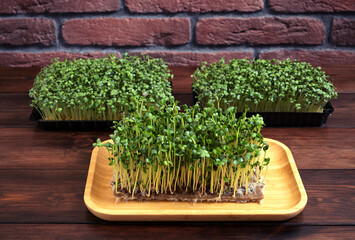 A close-up of fresh mustard (Brassica juncea) and radish (Raphanus sativus) microgreens grown on a natural fiber mat, displayed on a wooden tray with additional trays of microgreens in the background