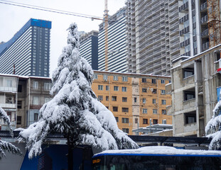 Snow-covered streets of the city on the Black Sea coast. Snowdrifts on the streets of Batumi.  Unexpected frost in the south.