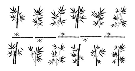 Bamboo from branches with leaves and stems black silhouette on transparent background, vector set for stencil