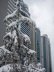   Snow-covered streets of the city on the Black Sea coast. Snowdrifts on the streets of Batumi.   Unexpected frost in the south.