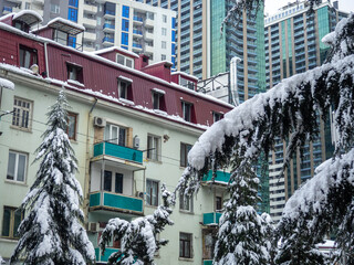 Snow-covered streets of the city on the Black Sea coast. Snowdrifts on the streets of Batumi. Difficult situation. Unexpected frost in the south.