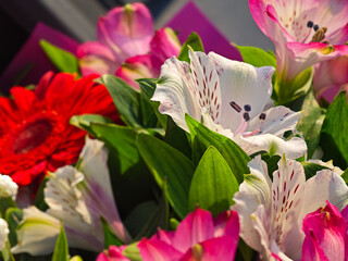 Vibrant flower bouquet, macro shot