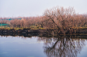 Obraz premium nature sceneries inside the Delta of the river Po during a winter season, Veneto Italy