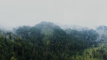 Aerial drone footage of a hilly valley overgrown with dense spruce forest with a curtain of white clouds over it. Video of a summer day