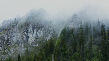 Narrow mountain river flowing from steep rocky mountains among a spruce forest, aerial photography from a drone on a summer day with a video shift up to the rocks