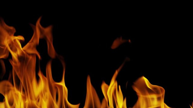 Burning flames from start to finish with ProRes codec Isolated by Alpha channel, a close-up of a simulated fiery fire burning with the colors of real flames