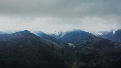 Vertical panning from a drone, a view of a mountain valley with a river in a lowland at the foot of gently sloping mountains overgrown with a dense spruce forest. Rocky peaks covered with clouds
