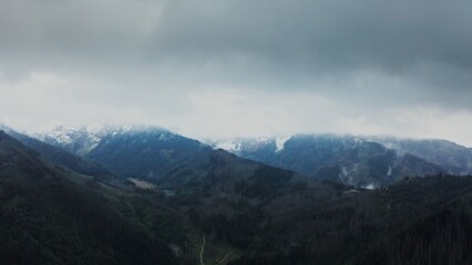 Vertical panning from a drone, view of a mountain valley with a river in a lowland at the foot of gently sloping mountains overgrown with a dense spruce forest, on a cloudy day at dusk