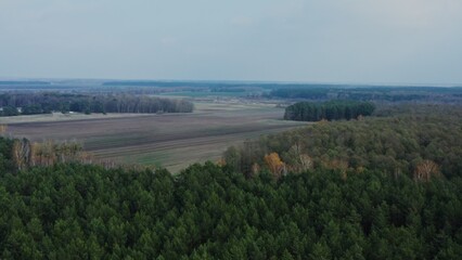 Aerial drone footage of a harvested agricultural field surrounded by mixed coniferous deciduous forest on an autumn day