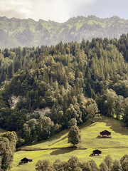Swiss Montain in Lauterbrunnen 