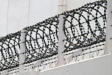 Razor Wire for Wire Fencing known as Barbed Wire