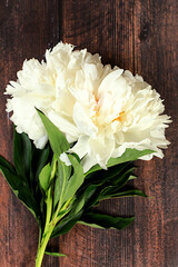 Bouquet of fresh peonies on wooden background.Abstract floral arrangement.Banner for congratulations on Mother's Day, wedding, Women's Day, birthday. Minimal modern aesthetics, elegant beauty concept.