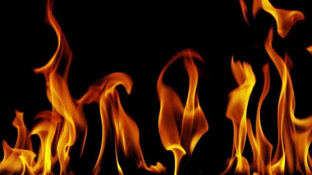 Burning flames from start to finish with ProRes codec Isolated by Alpha channel, a close-up of a simulated fiery fire burning with the colors of real flames