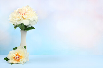 Abstract floral arrangement, fresh peonies in vase on sunny background. Banner for congratulations on Mother's Day, wedding, Women's Day, birthday. Minimal modern aesthetics, elegant beauty concept