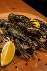 crayfish
