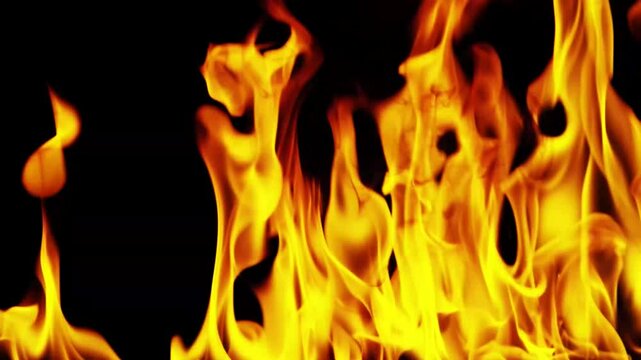 Burning flames from start to finish with ProRes codec Isolated by Alpha channel, a close-up of a simulated fiery fire burning with the colors of real flames