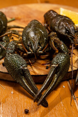 crayfish
