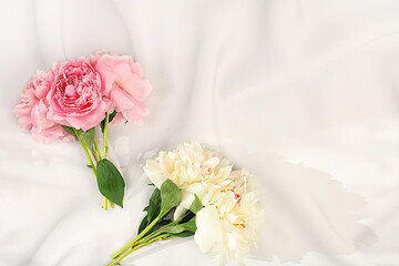 Bouquet of fresh peonies on sunny background.Abstract floral arrangement.Banner for congratulations on Mother's Day, wedding, Women's Day, birthday. Minimal modern aesthetics, elegant beauty concept