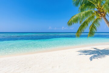 Clear blue waters meet white sandy beach under a bright sky with gentle palm trees swaying in the breeze