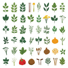 collection of various illustrated herbs and spices, including leaves, flowers, and seeds, arranged grid pattern. vibrant colors and diverse shapes highlight variety of natural ingredients used