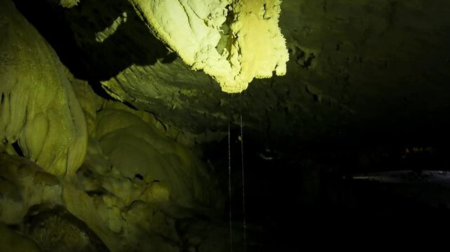Deer Cave - Gua Payau or Gua Rusa in Sarawak on Borneo, Malaysia, Gunung Mulu National Park, sedimentary rocks known as limestone, nesting swifts and bats living in. Every evening millions bat exodus.