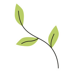 Green Leaf Branch Illustration