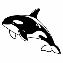 dolphin isolated on white