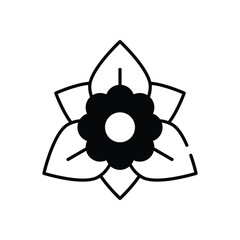 Fototapeta premium Bougainvillea Vector icon