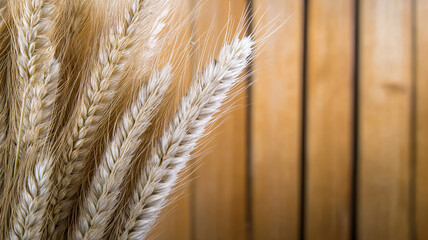 Close up of barley stalks against a blurred wooden background, creating a minimalist and atmospheric image with warm, soft light
