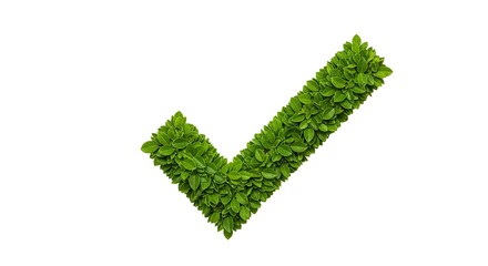 Green Leaf Check Mark Isolated on White Represents Approval Concept