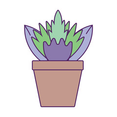 Vector image of a potted plant icon with a white background