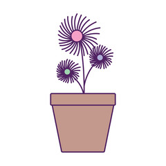 Vector image of a potted plant icon with a white background