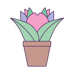 Vector image of a potted plant icon with a white background
