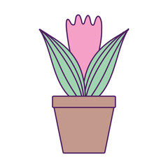 Vector image of a potted plant icon with a white background