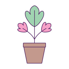 Vector image of a potted plant icon with a white background