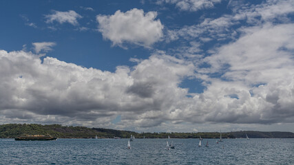 sailing boats in Sydney