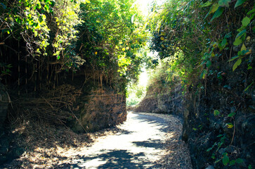 Obraz premium path in the island, Japan 