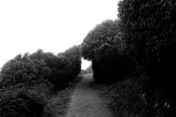 Tokata / Nugget Point Lighthouse, The Catlins