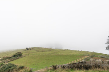 New Zealand landscapes with heavy clouds