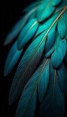 Obraz premium Teal Bird Feathers Close Up Macro Photography