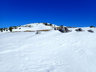 dachstein mountains in austria in winter