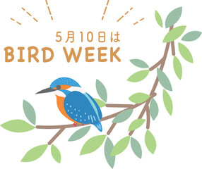 愛鳥週間　カワセミ　リース　野鳥　鳥