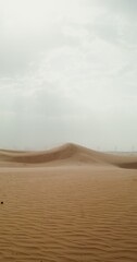 Desert with fine yellow sand on a windy day. The wind develops fine sand dust, forming dunes. Desert, vertical video. 4k video, red komodo