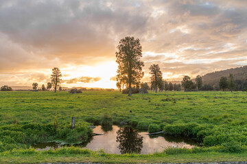 pond with water reflection and clouds at sunset