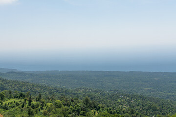 Green Bali landscape with sea in abckground