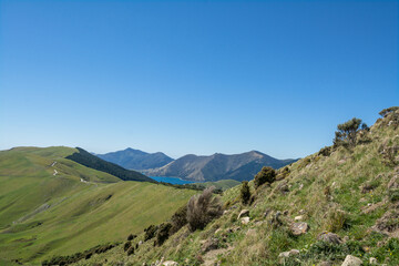 Green New Zealand sea views