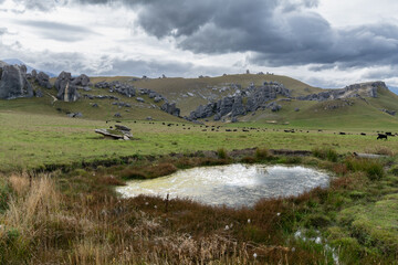 Kura Tawhiti © user